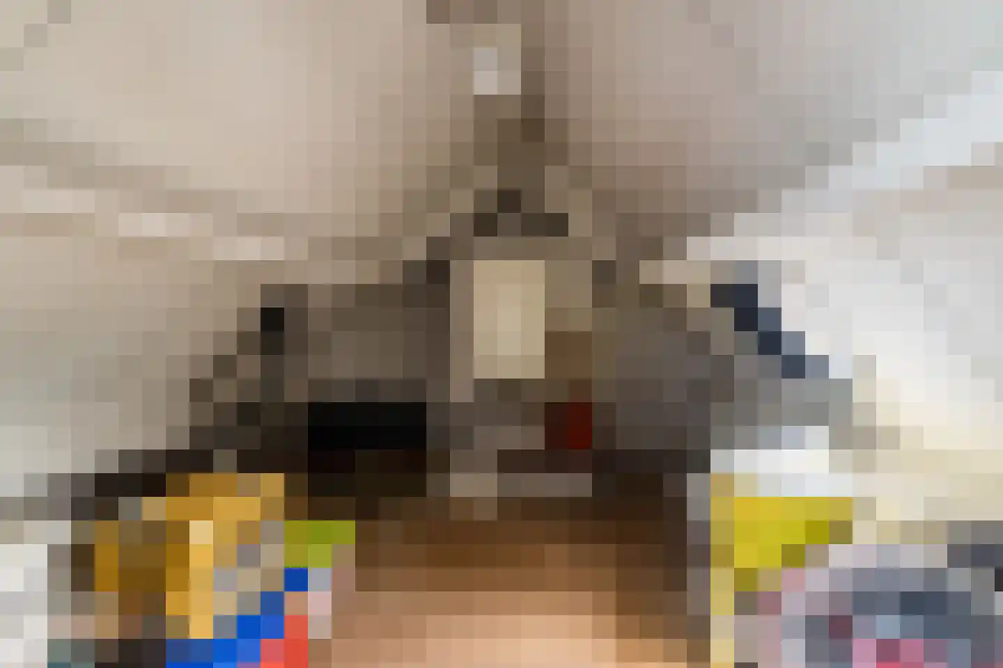 Ganzestraat 30 Hapert thumbnail 45