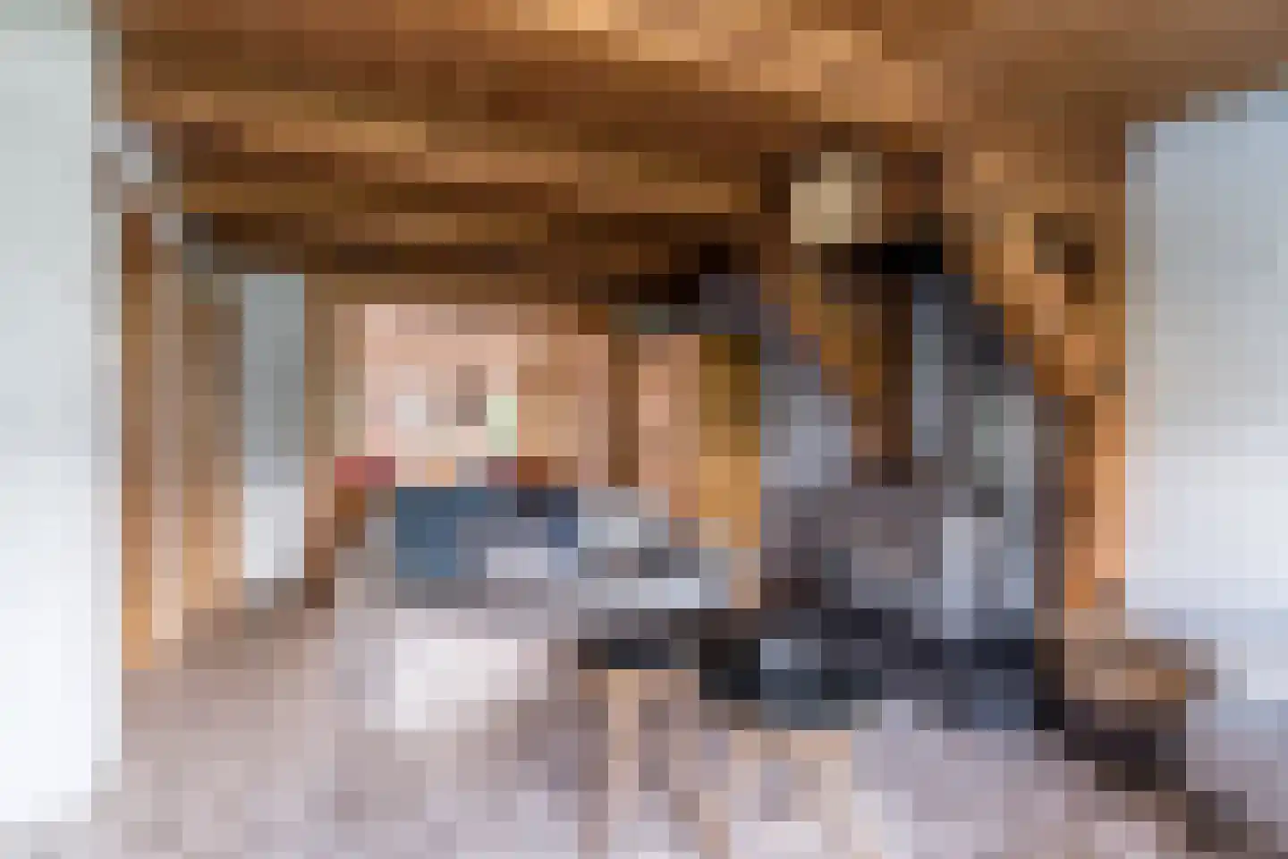 Ganzestraat 30 Hapert thumbnail 9