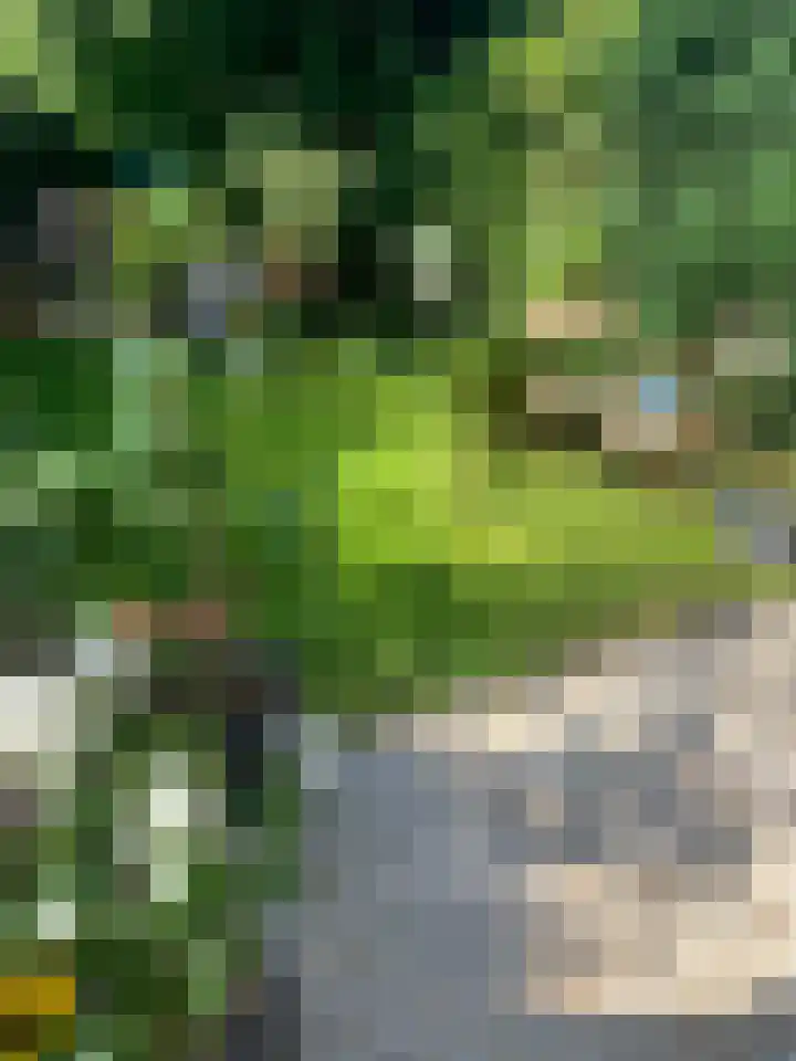 Ganzewater 47 Zoetermeer thumbnail 14