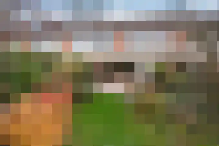 Ganzewater 47 Zoetermeer thumbnail 15