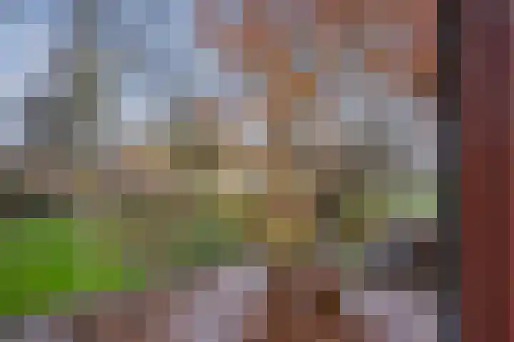 Ganzewater 47 Zoetermeer thumbnail 28