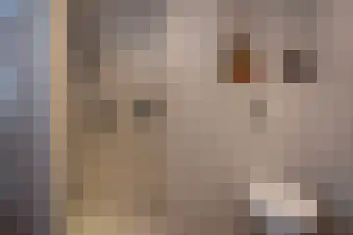 Ganzewater 47 Zoetermeer thumbnail 30