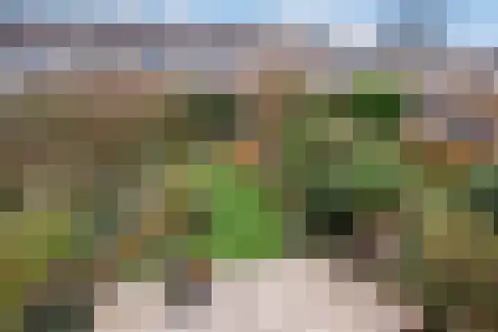 Ganzewater 47 Zoetermeer thumbnail 32