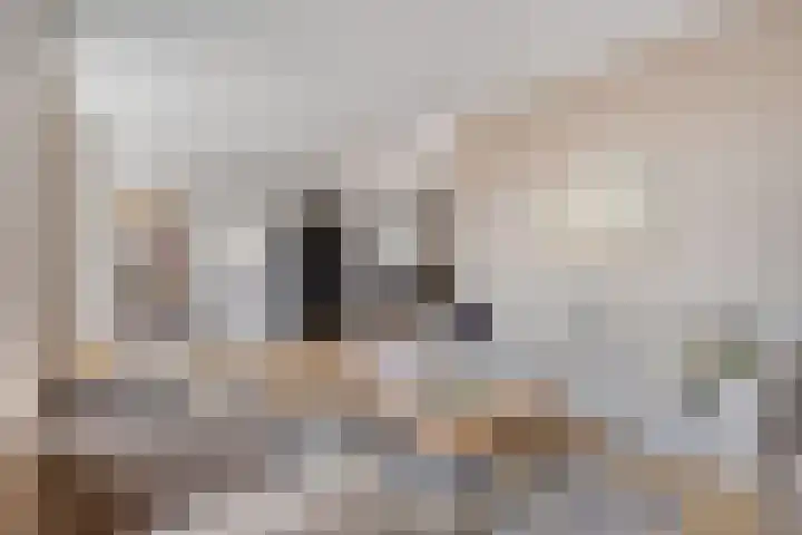 Ganzewater 47 Zoetermeer thumbnail 37