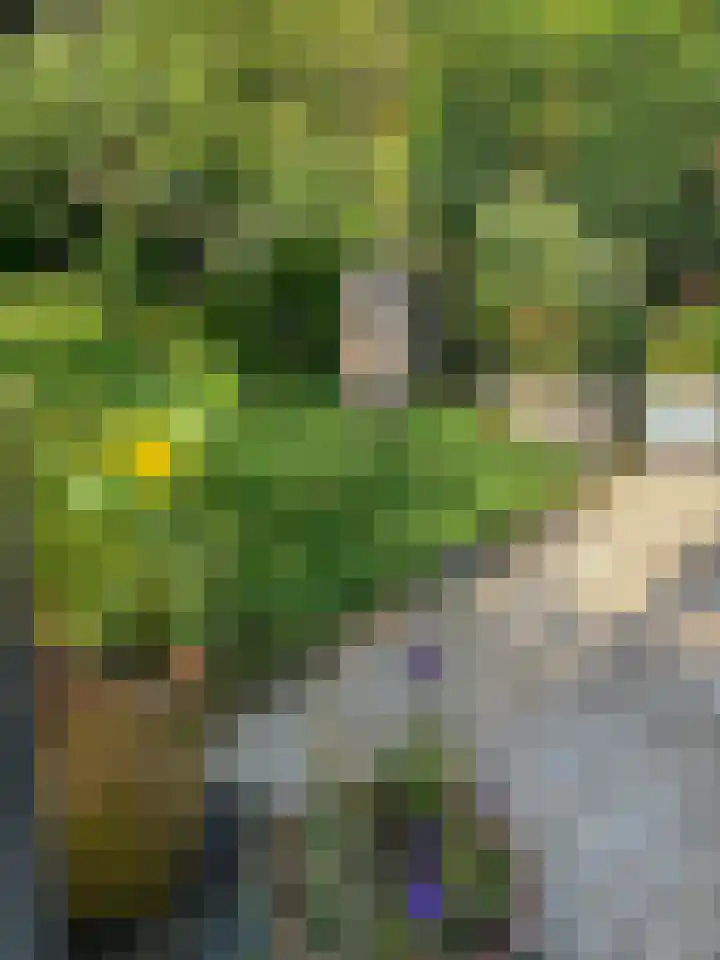 Ganzewater 47 Zoetermeer thumbnail 41