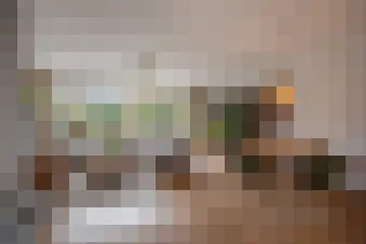 Ganzewater 47 Zoetermeer thumbnail 9