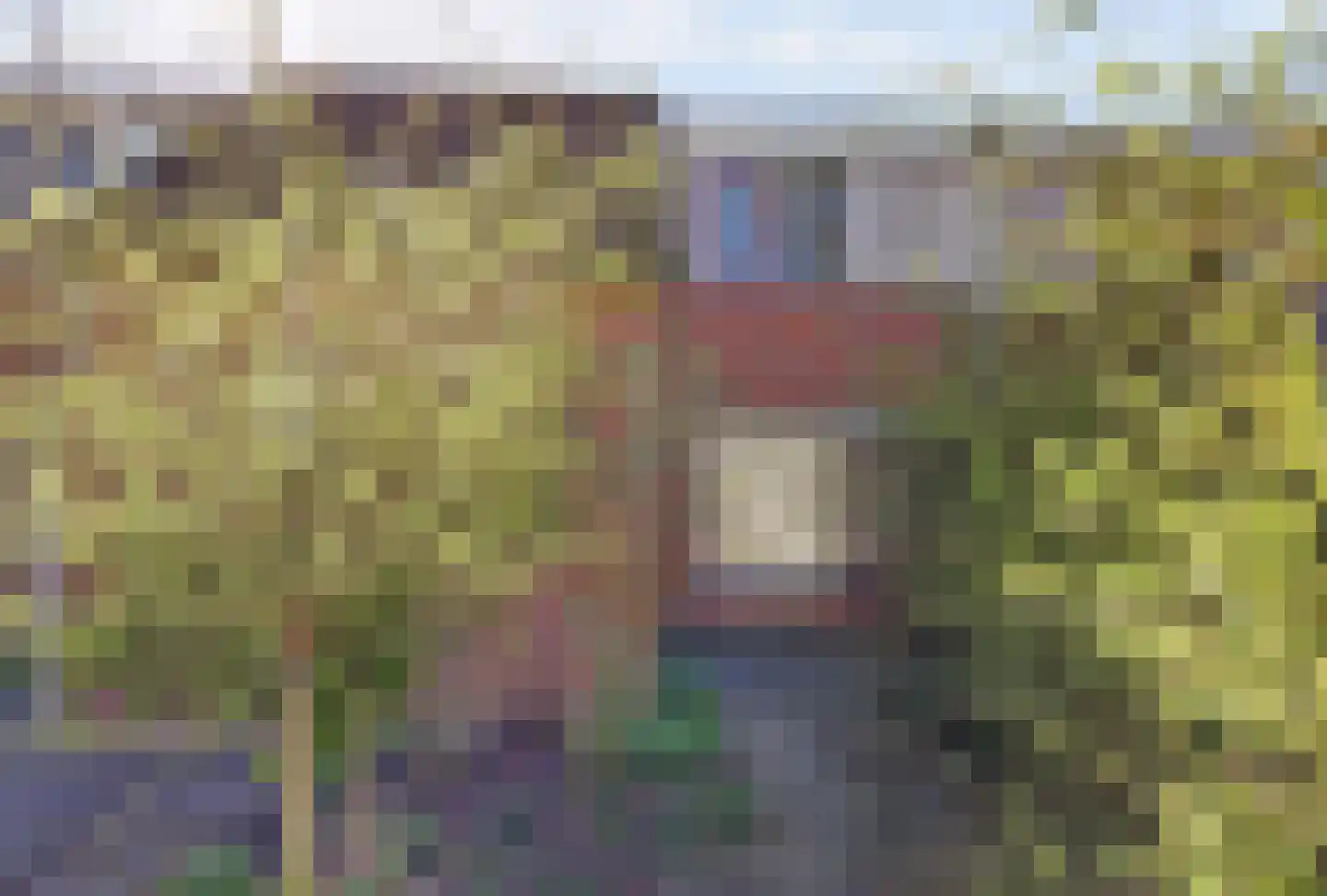 Ganzewei 3 Elst