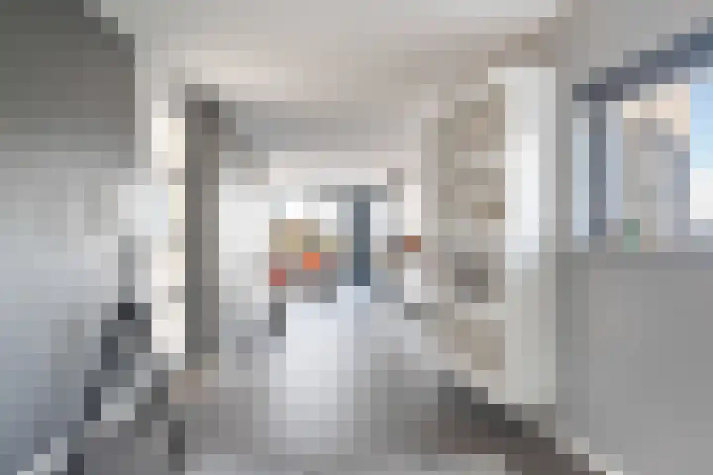 Garde Jagerswei 20 Grou thumbnail 10