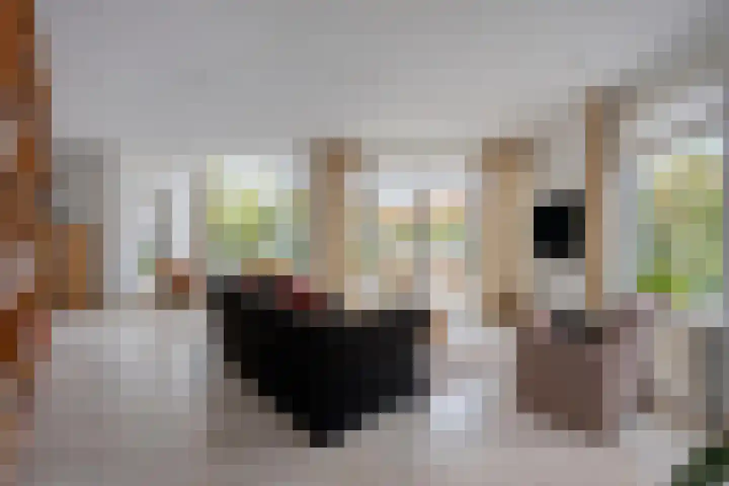 Gareel 18 Veldhoven thumbnail 15
