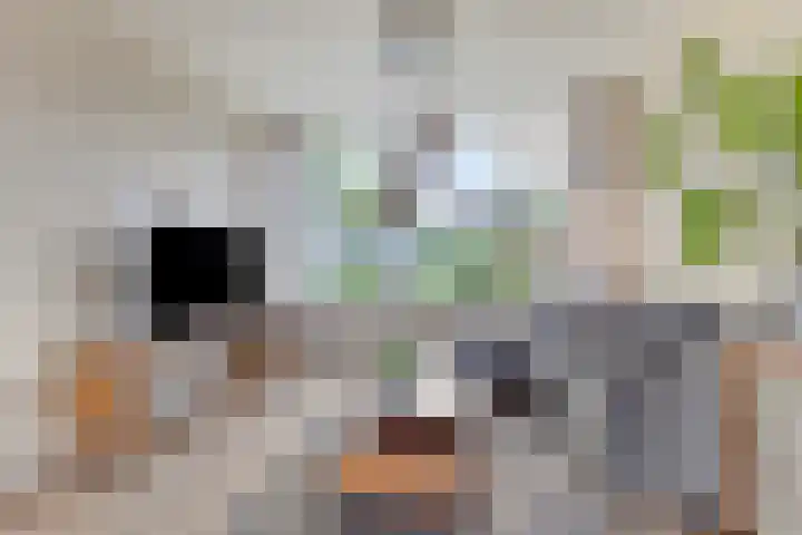 Gareel 2 Barger-Compascuum thumbnail 10