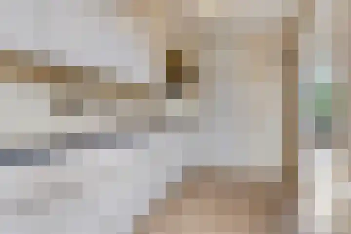 Gareel 2 Barger-Compascuum thumbnail 12