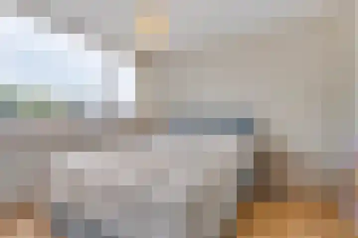 Gareel 2 Barger-Compascuum thumbnail 17