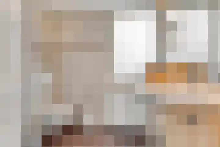 Gareel 2 Barger-Compascuum thumbnail 20