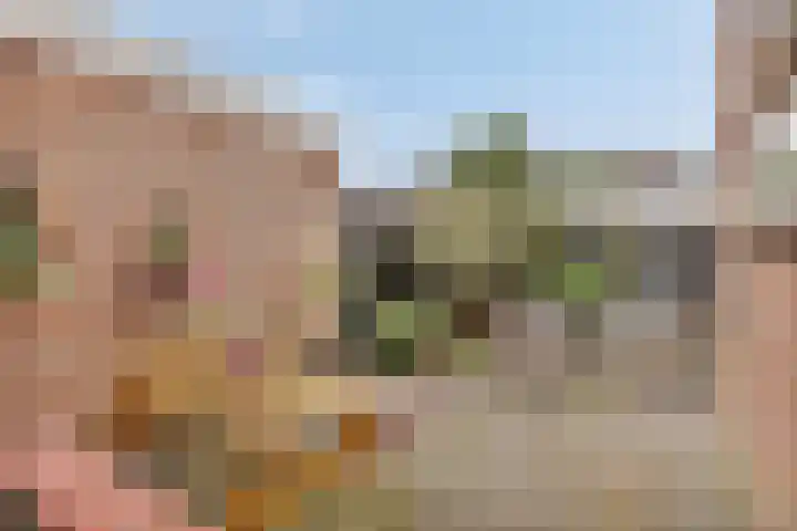 Gareel 2 Barger-Compascuum thumbnail 29