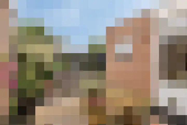 Gareel 2 Barger-Compascuum thumbnail 30