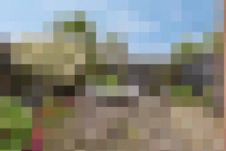 Gareel 2 Barger-Compascuum thumbnail 31