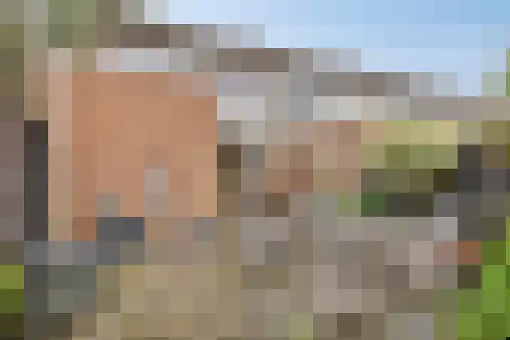 Gareel 2 Barger-Compascuum thumbnail 32