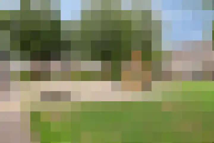 Gareel 2 Barger-Compascuum thumbnail 33