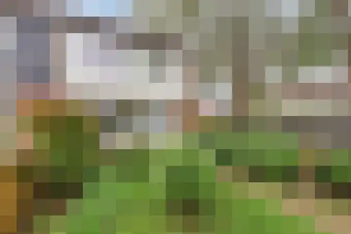 Gareel 2 Barger-Compascuum thumbnail 35