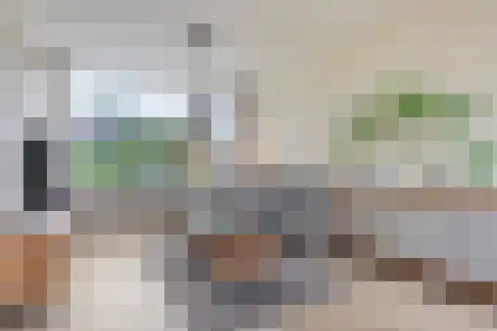 Gareel 2 Barger-Compascuum thumbnail 9