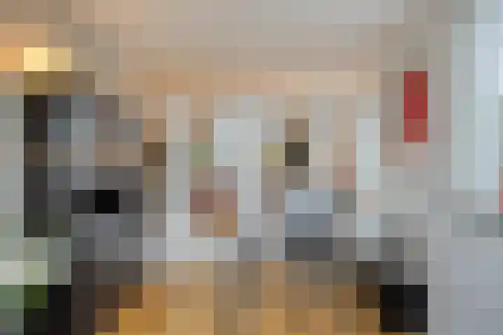 Gareel 27 Veldhoven thumbnail 13