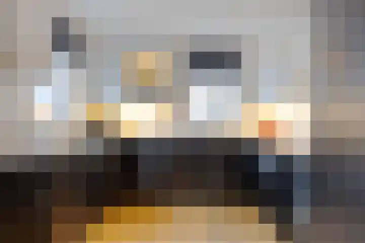Gareel 27 Veldhoven thumbnail 17