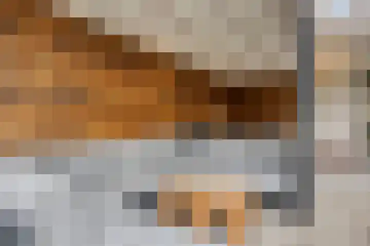 Gareel 27 Veldhoven thumbnail 41