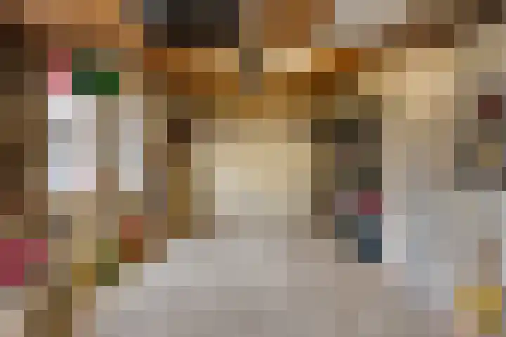 Gareel 27 Veldhoven thumbnail 47