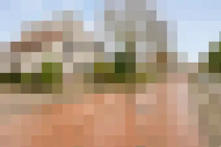 Gareel 27 Veldhoven thumbnail 50