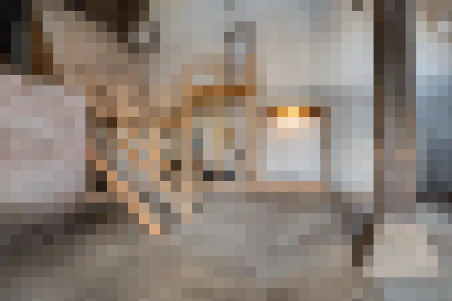 Garewei 1 Ljussens thumbnail 36