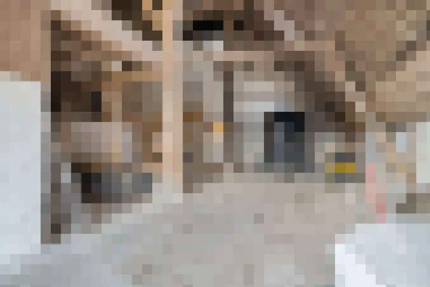 Garewei 1 Ljussens thumbnail 39