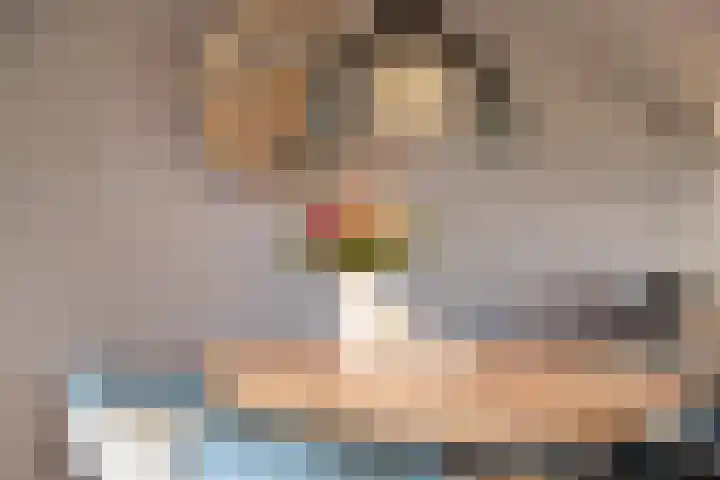 Gargouille 43 Tiel thumbnail 15