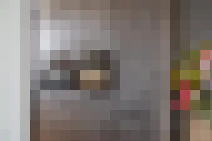 Gargouille 43 Tiel thumbnail 18
