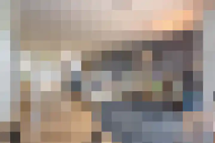 Gargouille 43 Tiel thumbnail 25