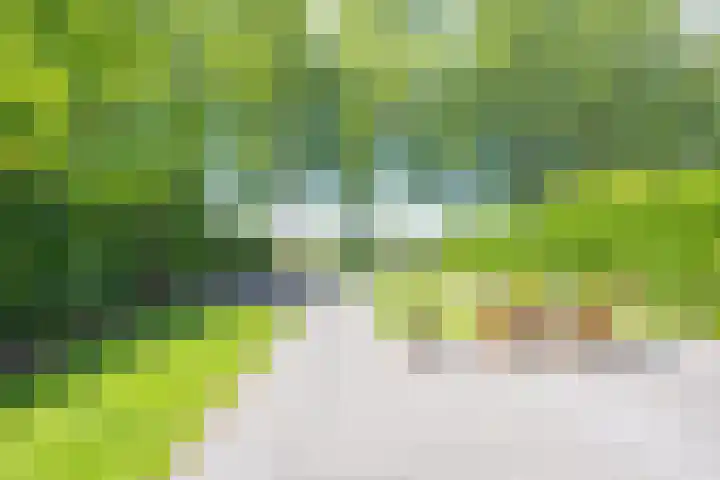 Gargouille 43 Tiel thumbnail 38