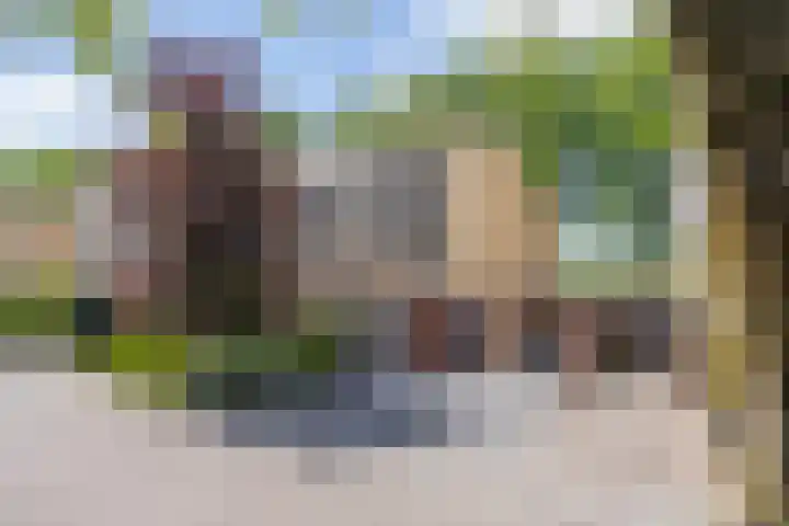 Gargouille 43 Tiel thumbnail 4