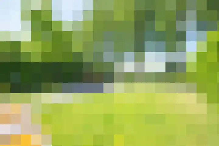 Gargouille 43 Tiel thumbnail 40
