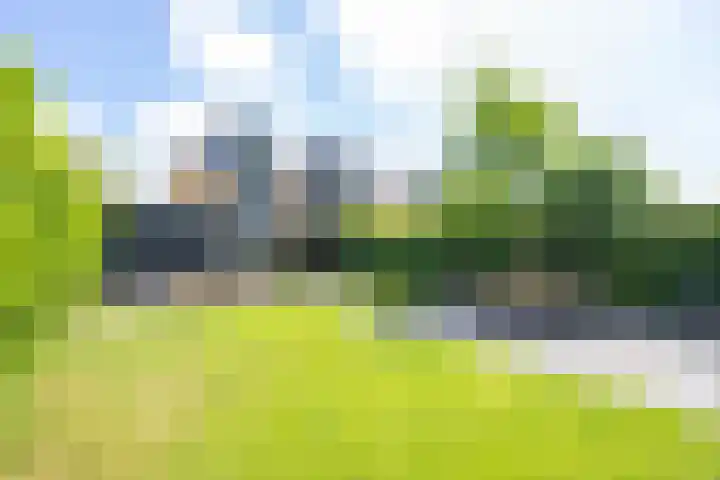 Gargouille 43 Tiel thumbnail 44