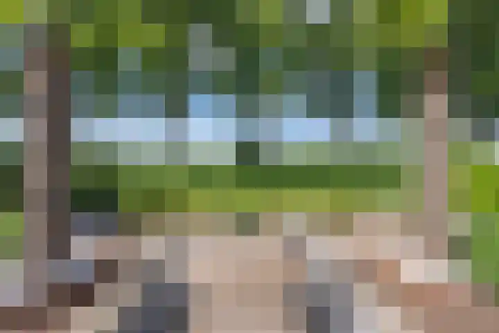 Gargouille 43 Tiel thumbnail 48