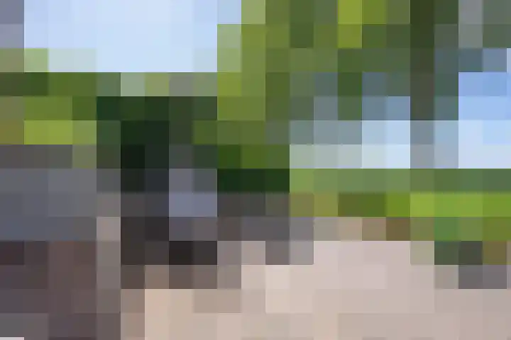 Gargouille 43 Tiel thumbnail 50