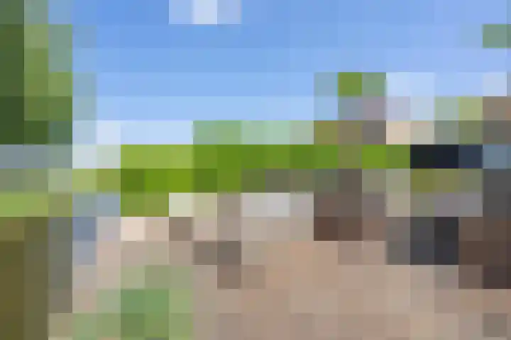 Gargouille 43 Tiel thumbnail 52