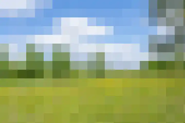 Gargouille 43 Tiel thumbnail 6