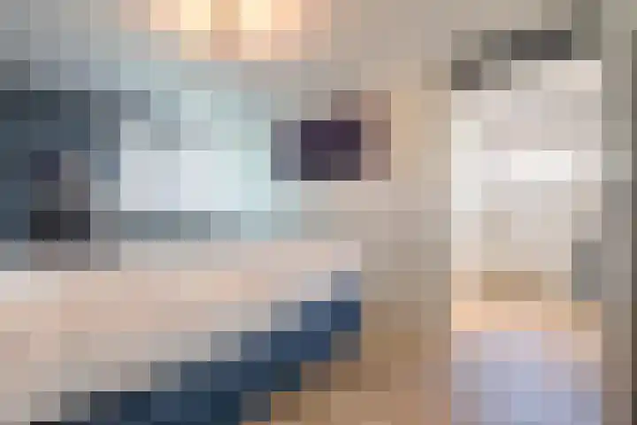Gargouille 43 Tiel thumbnail 63