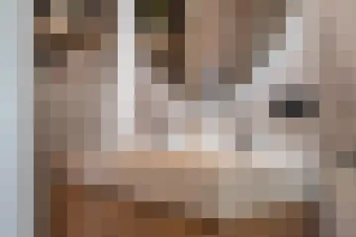 Gargouille 43 Tiel thumbnail 68