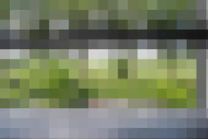Gargouille 43 Tiel thumbnail 74