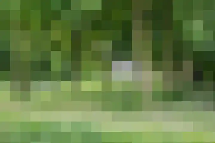 Gargouille 43 Tiel thumbnail 76