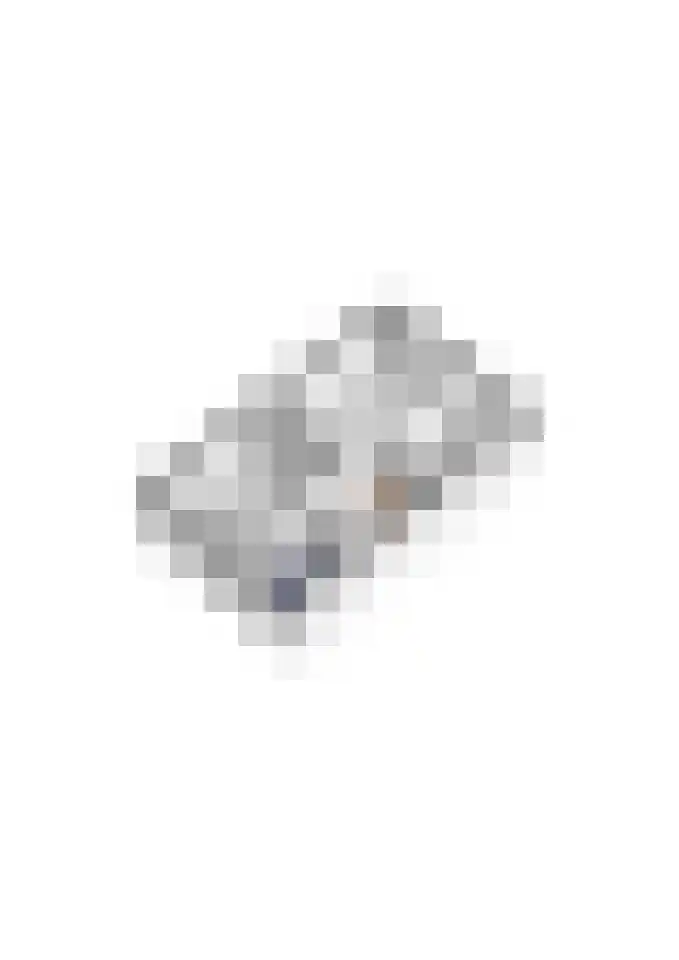 Gargouille 43 Tiel thumbnail 80