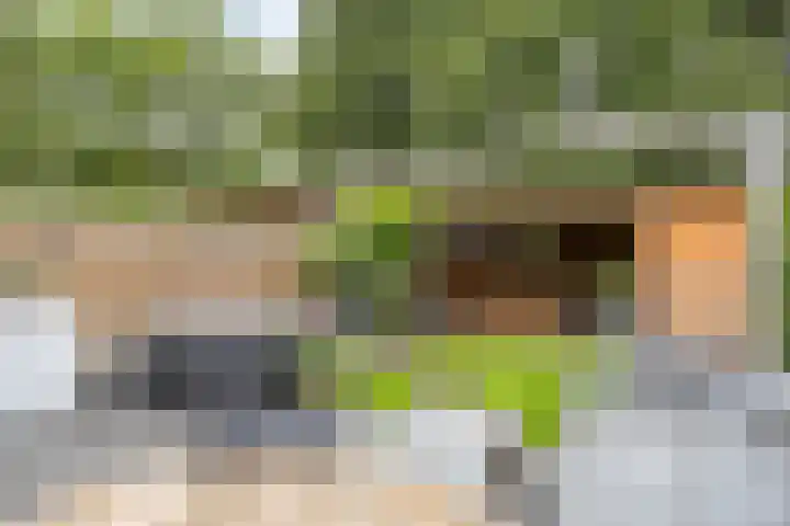 Gariperwei 9 Oudega thumbnail 12