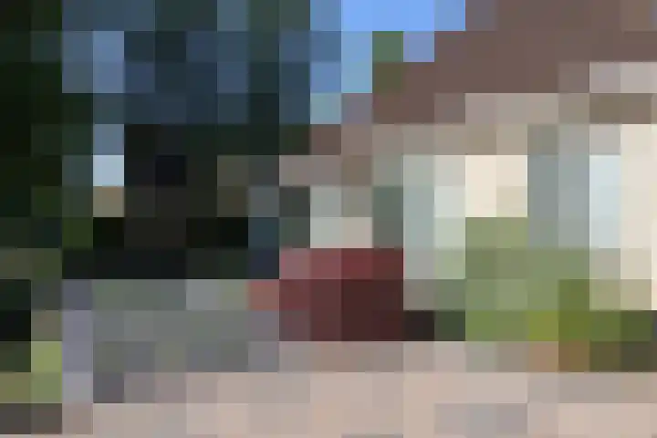 Gariperwei 9 Oudega thumbnail 15