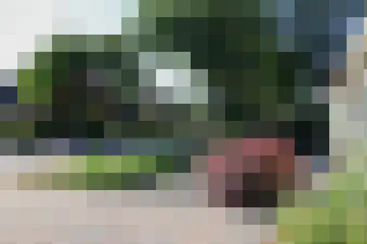 Gariperwei 9 Oudega thumbnail 16